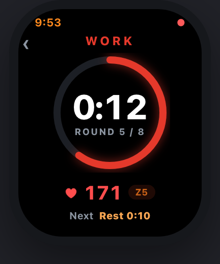 FTNSS on Apple Watch: WORK phase, 0:12 left, round 5 of 8, heart rate 171 in zone 5